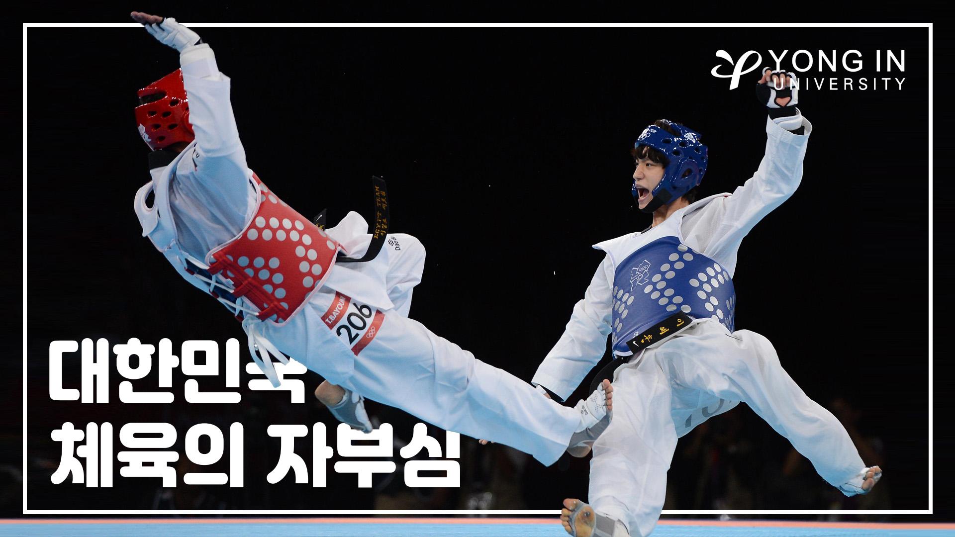 ๋ํ๋ฏผ๊ตญ ์ฒด์ก์ ์๋ถ์ฌ