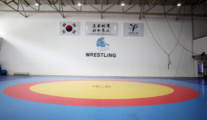 Wrestling Gymnasium