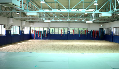 Ssireum Gymnasium