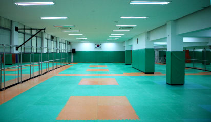 Taekkyon Gymnasium