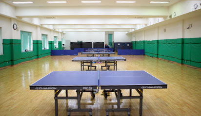  Table tennis Gymnasium